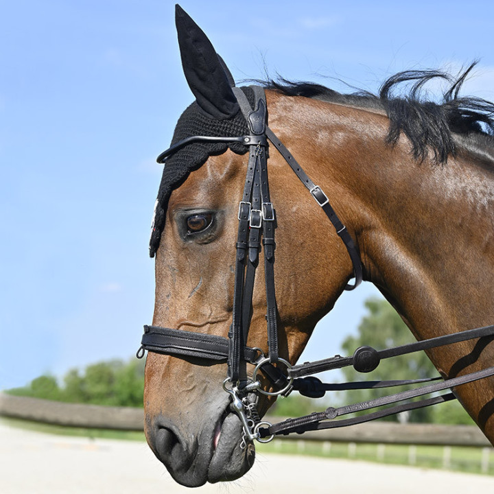 Bride Evolution Contact Dressage avec Pull-Back - IHWT