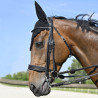 Bride Evolution Contact Dressage avec Pull-Back - IHWT