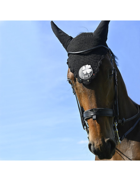 Bride Evolution Contact Dressage avec Pull-Back - IHWT