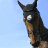 Bride Evolution Contact Dressage avec Pull-Back - IHWT