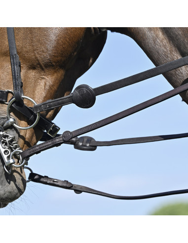 Bride Evolution Contact Dressage avec Pull-Back...