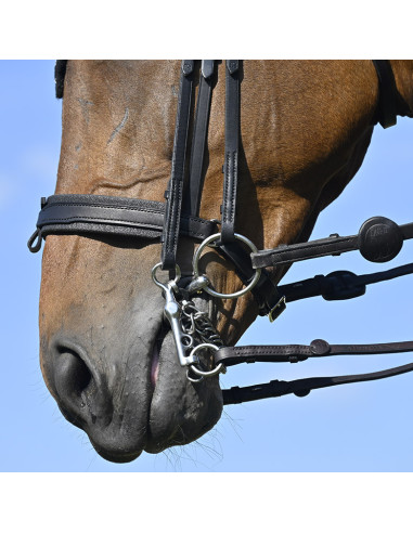 Bride Evolution Contact Dressage avec Pull-Back...