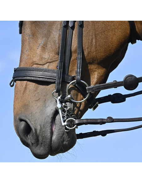 Bride Evolution Contact Dressage avec Pull-Back - IHWT