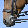Bride Evolution Contact Dressage avec Pull-Back - IHWT