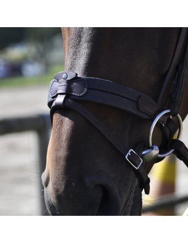 Bridon Évolution Soft T Contact Dressage avec...