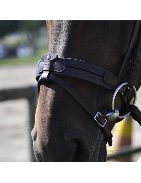 Bridon Évolution Soft T Contact Dressage avec Pull Back - IHWT