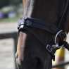 Bridon Évolution Soft T Contact Dressage avec Pull Back - IHWT