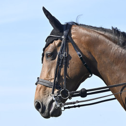 Bride Evolution Soft T Contact Dressage avec Pull Back - IHWT