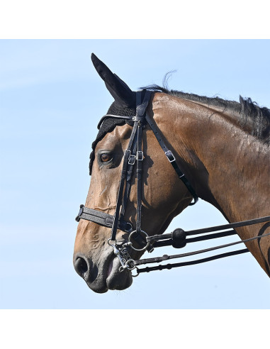 Bride Evolution Soft T Contact Dressage avec Pull Back - IHWT