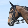 Bride Evolution Soft T Contact Dressage avec Pull Back - IHWT