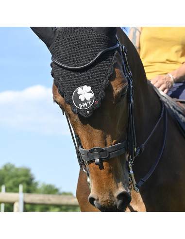 Bride Evolution Soft T Contact Dressage avec...