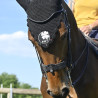 Bride Evolution Soft T Contact Dressage avec Pull Back - IHWT