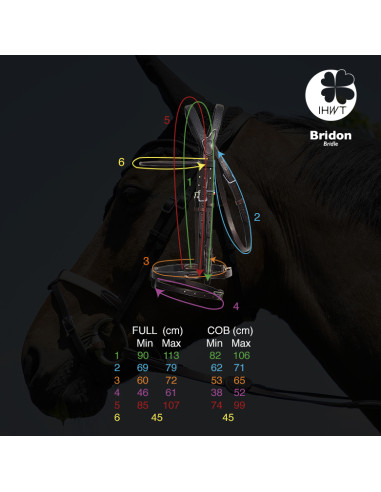 Bride Evolution Soft T Contact Dressage avec...
