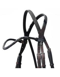 Frontal Disco - IHWT 2