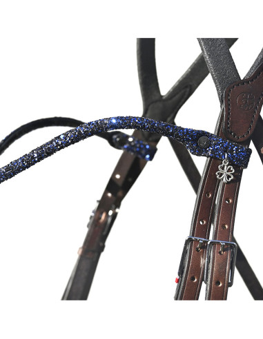 Frontal Disco - IHWT