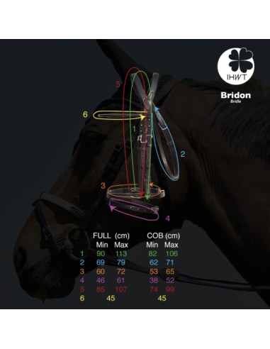 Bridon Évolution Soft T Contact - IHWT