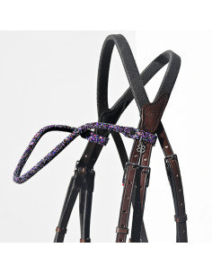 Frontal Disco - IHWT 2