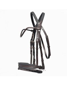 Bridon Évolution Contact - IHWT 2