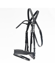 Bridon Évolution Contact Dressage avec Pull Back - IHWT 2