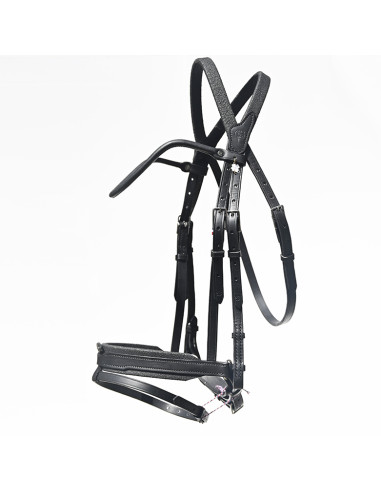Bridon Évolution Contact Dressage avec Pull...