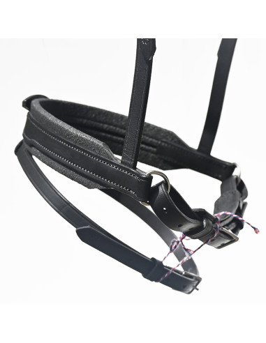 Bridon Évolution Contact Dressage avec Pull...