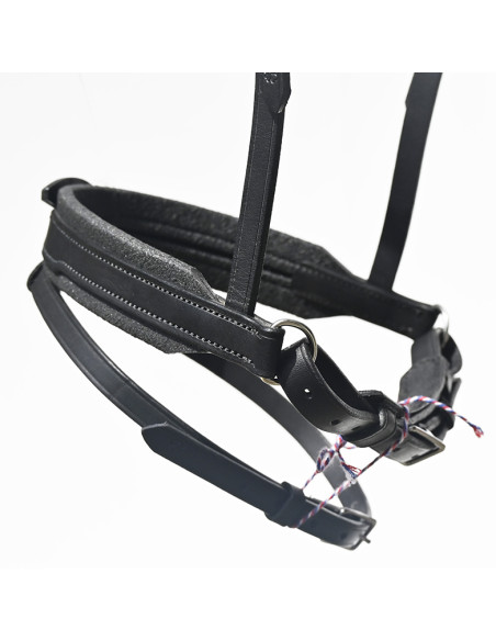 Bridon Évolution Contact Dressage avec Pull Back - IHWT