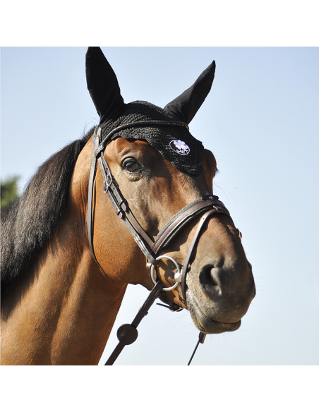 Bridon Évolution Contact Dressage avec Pull Back - IHWT