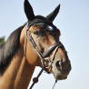 Bridon Évolution Contact Dressage avec Pull Back - IHWT