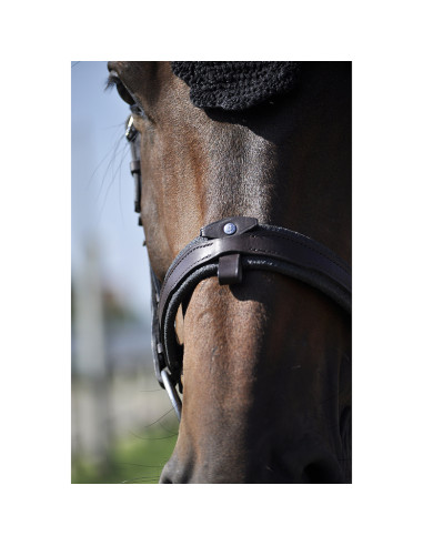 Bridon Évolution Contact Dressage avec Pull...