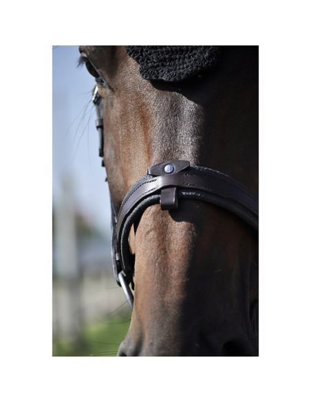Bridon Évolution Contact Dressage avec Pull Back - IHWT