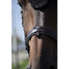 Bridon Évolution Contact Dressage avec Pull Back - IHWT