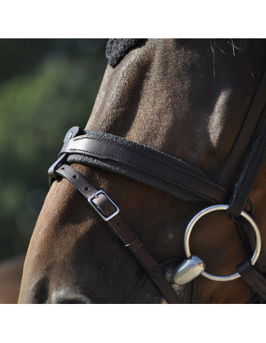 Bridon Évolution Contact Dressage avec Pull...