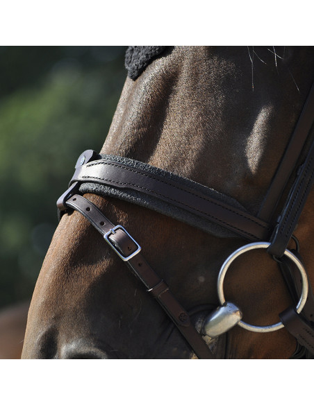 Bridon Évolution Contact Dressage avec Pull Back - IHWT