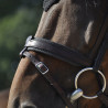 Bridon Évolution Contact Dressage avec Pull Back - IHWT