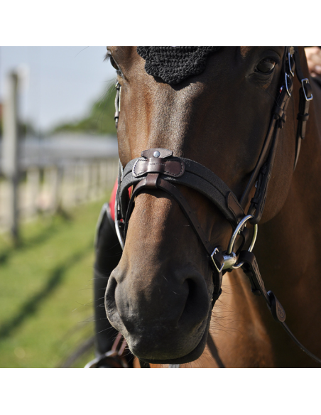 Bridon Évolution Soft T Contact - IHWT