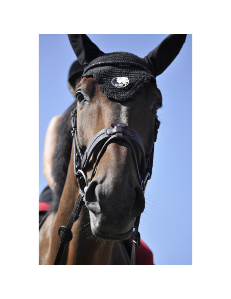 Bridon Évolution Soft T Contact Dressage avec Pull Back - IHWT