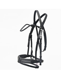 Bridon Évolution Soft T Contact - IHWT 2