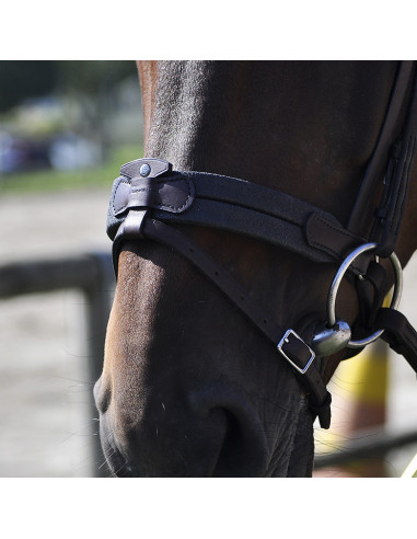 Bridon Évolution Soft T Contact - IHWT