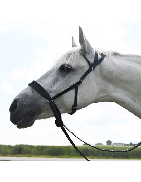 Bridon Evolution Soft T Contact Bitless - IHWT