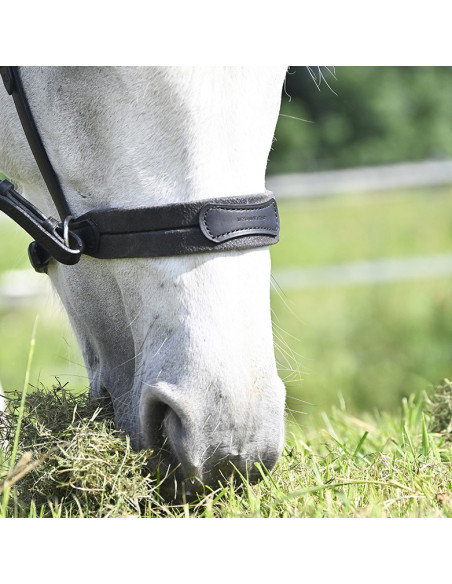 Bridon Evolution Soft T Contact Bitless - IHWT