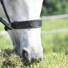 Bridon Evolution Soft T Contact Bitless - IHWT