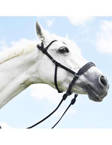 Bridon Evolution Soft T Contact Bitless - IHWT