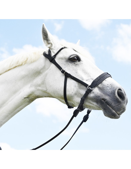 Bridon Evolution Soft T Contact Bitless - IHWT