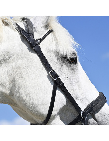 Bridon Evolution Soft T Contact Bitless - IHWT