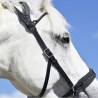 Bridon Evolution Soft T Contact Bitless - IHWT