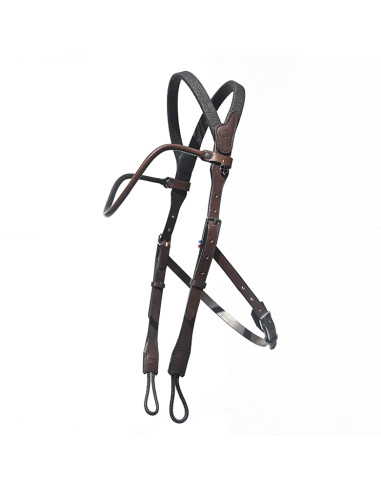 Bridon Evolution pour Hackamore | Sans Branche...