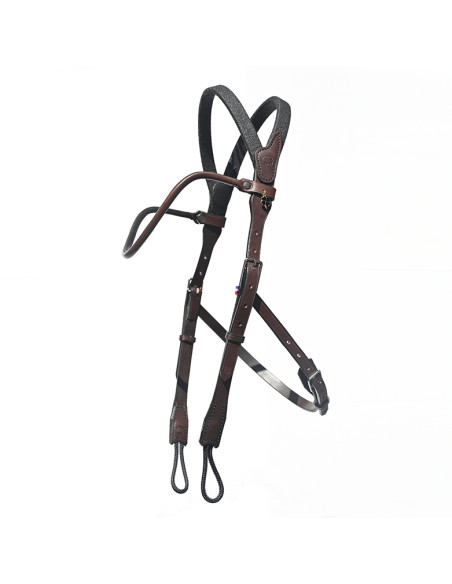 Bridon Evolution pour Hackamore | Sans Branche - IHWT