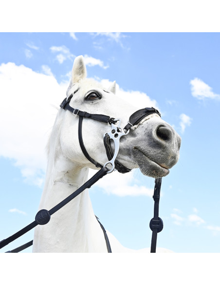 Bridon Evolution pour Hackamore | Sans Branche - IHWT