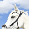 Bridon Evolution pour Hackamore | Sans Branche - IHWT