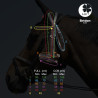 Bridon Evolution pour Hackamore | Sans Branche - IHWT